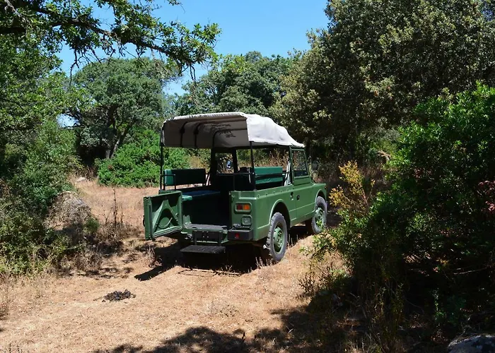 Фермерский дом Il Borgo Dell'arcangelo Барумини