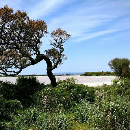 Farma Il Borgo Dell'arcangelo *