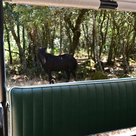 ファームステイ Il Borgo Dell'arcangelo バルーミニ